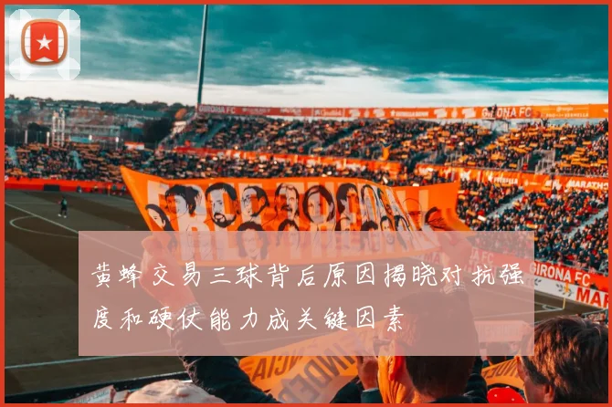 黄蜂交易三球背后原因揭晓对抗强度和硬仗能力成关键因素