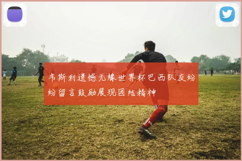 韦斯利遗憾无缘世界杯巴西队友纷纷留言鼓励展现团结精神